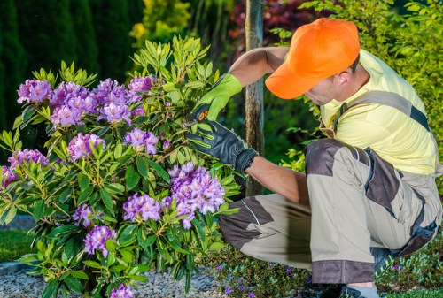 Accepted payment methods for Tree Surgeons Abbeywood including card and PayPal