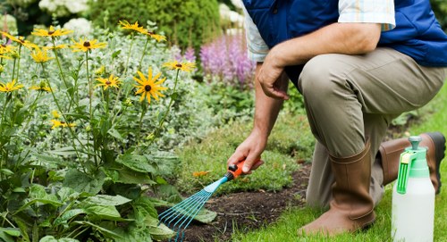 Arborist assessing tree health in an urban garden