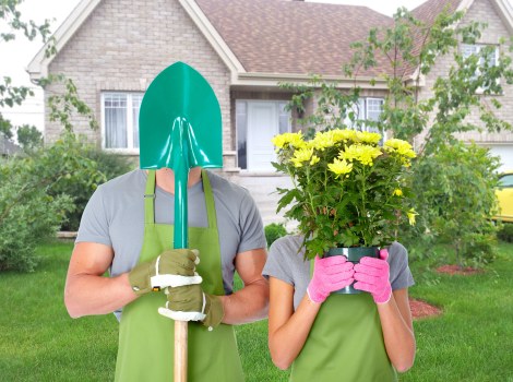 Supplier audit review for tree surgery services