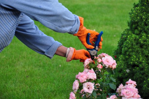 Payment security information for Abbeywood tree surgery services